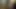 Sbbw Thicke seviyor kahrolası bbc