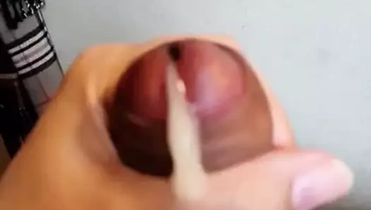 İri ceviz, kalın ve uzun