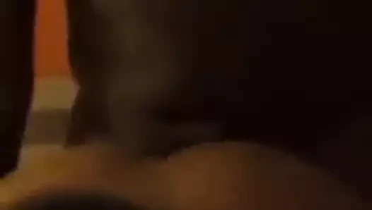 Amatör büyük ganimet köpek