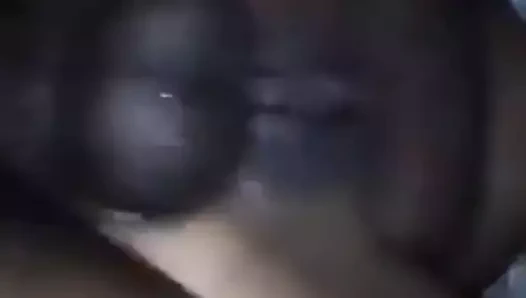 slamming siyah KEDİ