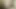 Desi big black dick masterbating video