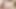 Faye reagan bir kamera ve büyük bir horoz tarafından şaşırttı