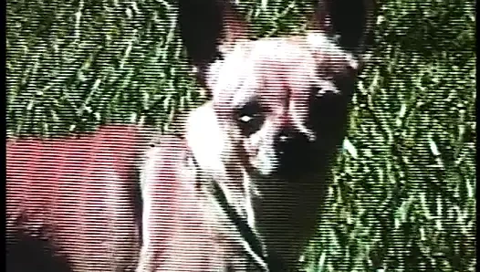 Siyah genç parantez giyen onu traş amcık emdi ve becerdin sonra alır yüz alır