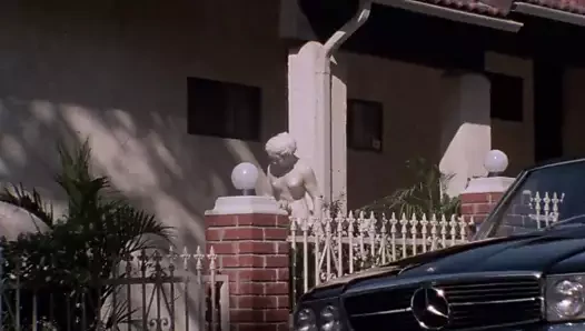 Fiziksel çekim (1984)