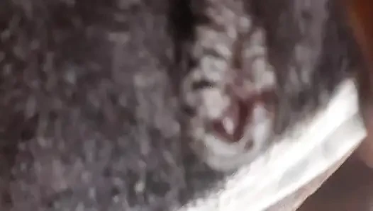 German fat hairy black pussy closeups