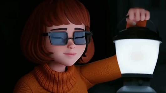 Several sticks with velma