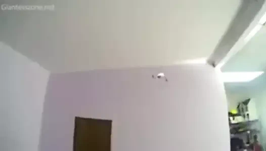 Tanrıça çıplak dev