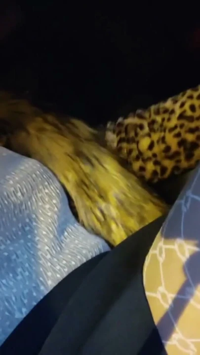Seksi küçük ponnyboy korkak yürüyüş içinde dükkan ve dışında | Klip 1