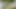 Bangladeşli ev kadınının gizli ilişki videosu (net bangla sesi)