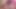 Japon avlusunda sevimli pembe saçlı kız yoğun çılgın seks yapıyor