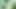 Stacxxxs sunar: Greenlight Special - Amber Lee