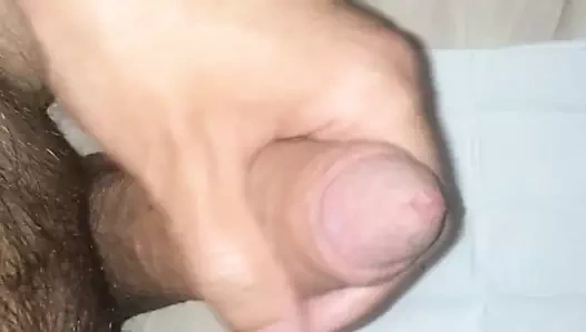 spricc
