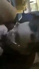 Haydi çocukları arayalım, hadi bir tren çalıştıralım!!