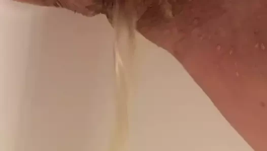 kedi pissing