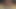 Amber avı bağbozumu uzun tırnaklar oral seks