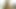 Katrin 21, Schmutziges blondes Girl beim Pornocasting MIt Blowjob Retro Schlampe