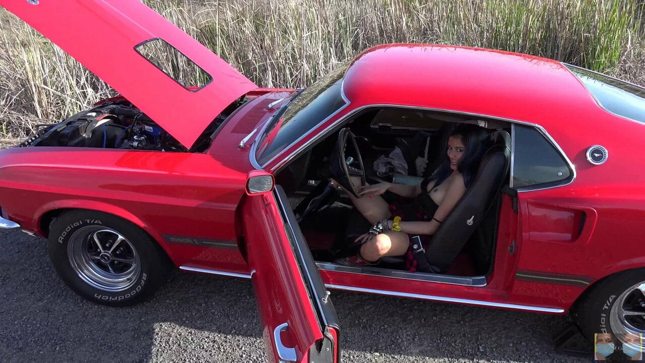 69 mustang kobra pedal pompalama sonra kamu yanıp sönen