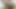 Teen. Deneyimsiz ama dev bir yarak arzusuyla #4-