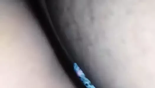 lanet bir şişman kedi