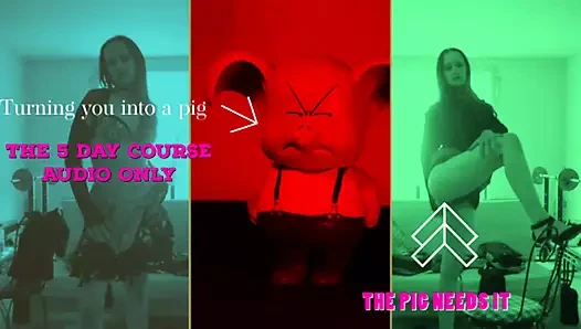 5 günlük kursta domuz olmayı öğrenin kokla oink joi tüm fotoğraflar benim