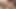 Sexbabesvr - 180 vr porno - zencefilli güzellik michaela isizzu