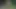 little- video