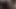 Beyaz kedi gergin üzerinde siyah horoz