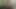 Evde yalnızdım ve fışkırtana kadar dildomla mastürbasyon yaptım