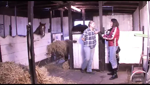 Büyük götlü sarışın Alman orta yaşlı seksi ev hanımı anal sikiliyor