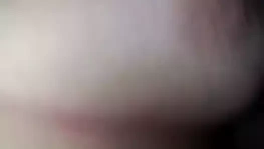 Kahrolası büyük baştankara büyük sürtük