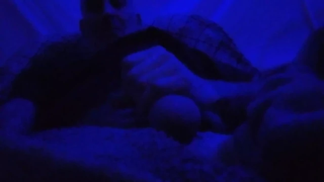 Solo