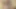Ateşli ve seksi genç lezbiyenler birbirlerinin amını yalıyor