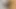 Seksi elbise poz tatlı küçük ponnyboy
