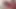 Latin, tatti ve mila'da: barbie kızlar teyp esaret dünyasında! (4k)