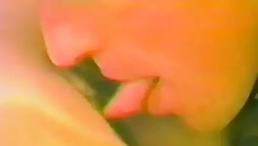 Şehvetli bir klasik sikiş!