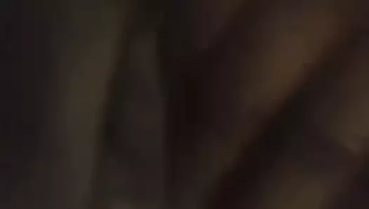 Terrie oynuyor
