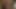 Azgın Latin pt.2 ile Facetime