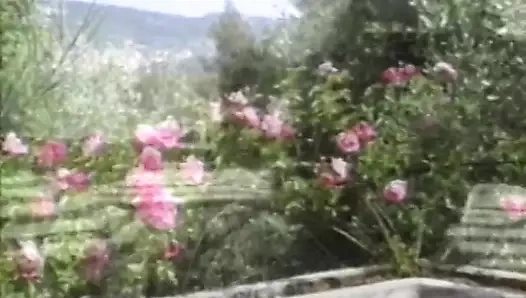 Şezlongdaki sarışın sürtük yarak emiyor ve sikişiyor