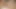 Siyah4k. bbc güzel genç colleen sulu kedi girer