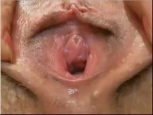 yakın çekim kıllı KEDİ