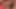 Dev zenci lezbiyenler amcık yalıyor dildo oynuyor