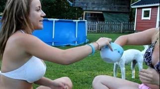 harika göğüsler nn