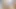 Lezbiyen Taylandlı orta yaşlı seksi kadın 69 pozisyonunda amcık yalıyor ve ateşli takma yarakla seks yapıyor