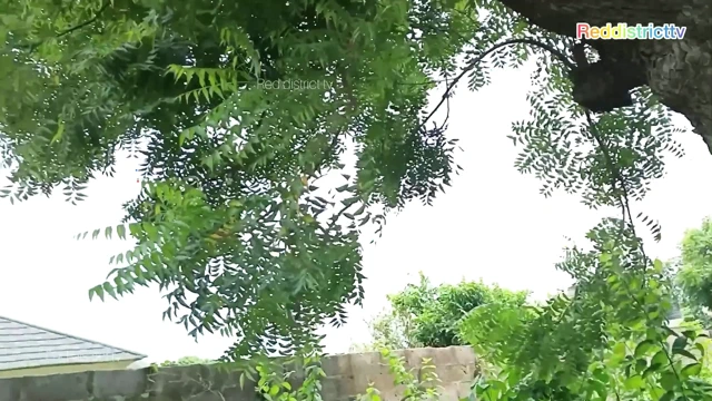 Yeni erkek arkadaşımla çalıların içinde en iyi sikişi yaptım