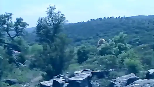 Cinsel ağ geheimcode superfrau (1995)