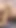 Desi Girlfriend and Boyfriend MMS Xxx Viral Video, Desi Beautiful Village Girl sex videos, Indian Beautiful Girl Xxx HD Video | Clip 1