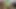 Full fuck movie between stepson and my house maid