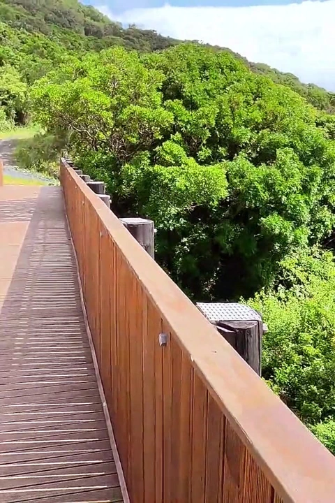 O görünüm mü ben mi?