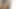 Baştan çıkarıcı orta yaşlı seksi kadın lezbiyenler patlayıcı orgazm için ıslak amcıklarını parmaklıyor