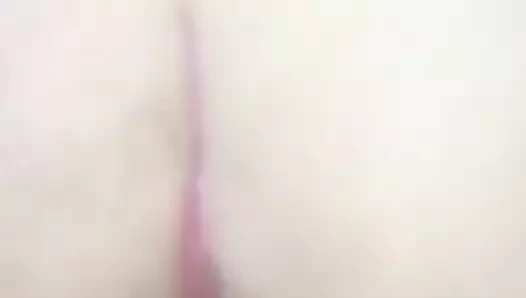 danai ipeirotika kozani 2017